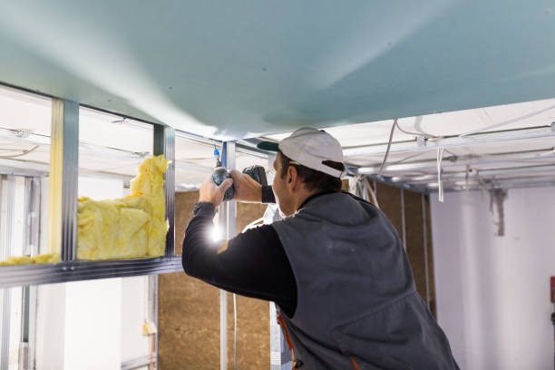 Best Garage Insulation  in Spring Valley, CA