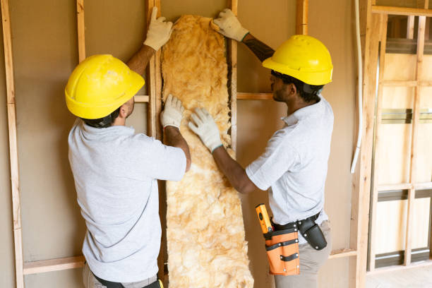 Best Spray Foam Insulation  in Spring Valley, CA